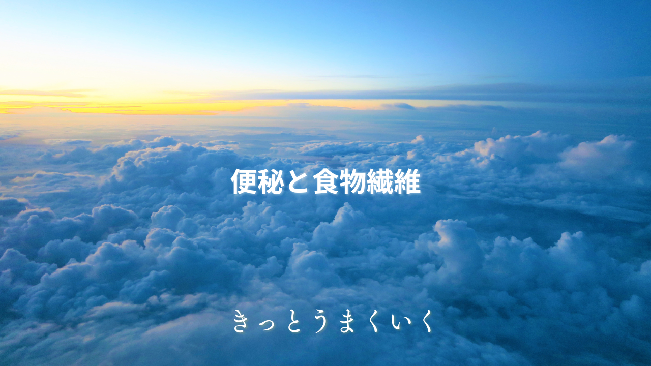 便秘と食物繊維｜腸内環境を整える科学的アプローチ